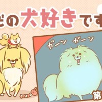 ただの犬好きです。【第318話】「お留守番」