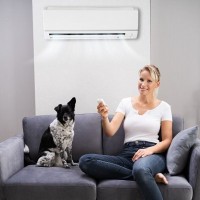 犬に絶対NGな『暑さ対策』5選　間違った対応で愛犬の命を脅かすことも