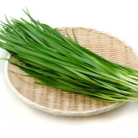 犬にニラは与えてはいけない食材！危険な中毒症状と正しい対処法