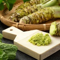 犬にわさびは絶対ダメ！与えてはいけない理由と正しい対処法を解説