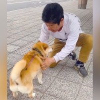 出張帰りのパパを犬と迎えに行った結果→久々の再会で『熱烈大歓迎』かと思ったら…予想外だった『まさかの光景』が55万再生「クールで草」