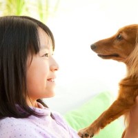 犬は人間の『笑顔や泣き顔』を見分けられる？飼い主の表情が与える愛犬への影響とは