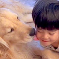 『男の子と大型犬』が一緒に暮らしたら…ずっと見ていたくなる『尊すぎる日常』に「素敵な家族」「幸せホルモンたっぷり」と29万再生の反響