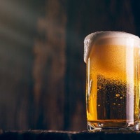 犬にビールを絶対に飲ませてはダメ！理由と危険な初期対応と応急処置を解説