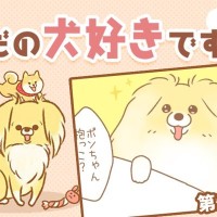 ただの犬好きです。【第319話】「圧の差」