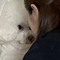 家に遊びに来た妹→なぜか犬と揉めごとが起こり…まさかの『コントのような光景』に41万いいねの大反響「中身は綿ですか？」「同化してて草」