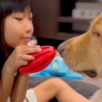 向かい合って遊ぶ『6歳の女の子と大型犬』→仲良しすぎて…もはや『本物の兄妹』のような光景に反響「信頼しあってるの分かる」「優しい」