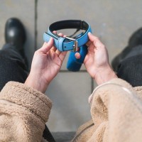 愛犬を『亡くしたショック』を乗り越える方法５つ　辛い悲しみから立ち直るために必要なこと