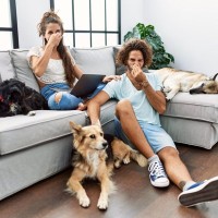 『体臭が少ない犬種』5選　臭いがキツイ犬との違いや日頃からできるお手入れ方法まで