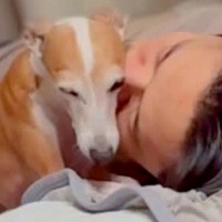 パパが寝ている布団にきた犬→『両ほっぺにチューをしてほしい』と要求してきて…『まさかの結末』に反響「最後笑った」「かわいすぎてニヤけた」
