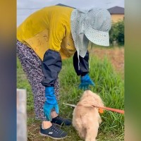 散歩中『大好きなお隣さんのおばちゃん』を見つけた犬→まるで恋人のように…尊すぎる『再会の瞬間』に反響「見ていて嬉しい」「喜び大爆発」