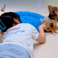 名前を呼んでもそっぽ向く犬→仲良くなれないかと思いきや、40分後…別犬かと思うほどの『態度の変化』が話題「ほっこり」「可愛すぎる」と反響