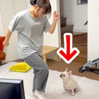 体育テストを控えた高校生の女の子→犬の前でダンスを披露した結果…予想外の反応と『まさかのオチ』が48万再生「近くない？」「微動ｗ」と反響