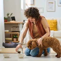 犬にごはんを与えるときの『絶対NG行為』5選　飼い主の誤った行動が愛犬へ与える健康被害とは