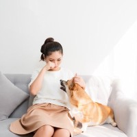 犬が飼い主を『慰めている』6つの行動　心配して寄り添ってくれる愛犬の心理とは
