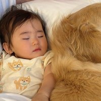1歳の女の子が別のベッドで寝ようとした結果→2匹の犬が…悶絶級の『尊すぎる光景』に2万いいね「みんな可愛い」「天使がいる…」と絶賛の声
