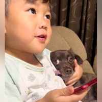 男の子が『ママに叱られてしまった犬』をかばった結果…手慣れ過ぎている『大人のような対応』が99万再生「守られてる感ｗ」「父親の貫禄で草」