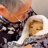 おばあちゃんが犬を抱っこ→寝かしつけをして…あまりにも尊い『赤ちゃんのような光景』が56万再生「ほっこりした」「可愛いの渋滞」と反響