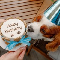 愛犬を喜ばせる『誕生日のお祝い方法』5選　日頃の感謝の気持ちを込めて素敵な思い出を残そう
