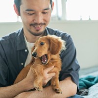 愛犬が嫌がってしまう『飼い主の行動』5選　無意識にやっているかも？信頼を失うNG行為とは