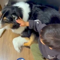 仲良しな男の子と犬→2年前を振り返ると、気持ちは一方通行で…泣けるほど尊い『愛を育んできた軌跡』に感動「目がとろけてる」「幸せそう」