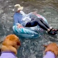 川で浮き輪に乗って流されてしまったら、気付いた大型犬が…イケメンすぎる『まさかの行動』に「素敵なボディーガード」「泣ける」と反響