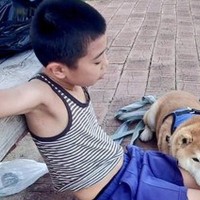 朝のトレーニングを終えた男の子→2匹の犬が近づいてきて…まさかの『微笑ましい休憩時間』に2万いいね「動けなくなるやつｗ」「最高」と称賛