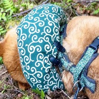 山登り中、突然倒れ込んだ犬…もはやマンガのような『あまりにも可愛い充電切れの瞬間』に6万いいね「完全に0％で笑ったｗ」「たまらん」