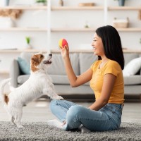 犬が飼い主を遊びに誘っているときのサイン3つ　愛犬からの要求に応えるために知っておきたいこと