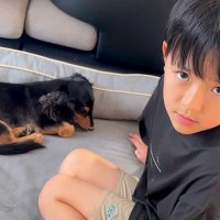 亡き愛犬に似た保護犬をお迎えしたら『愛犬じゃない』と息子が号泣…過去を乗り越えた『現在の光景』に反響「本当に優しいご家族」「絶対幸せ」