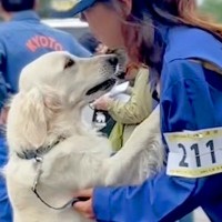 競技本番を控えた警察犬→『かっこよく待機する』かと思ったら…ほっこりが止まらない『まさかの光景』が254万再生「オンとオフ」「可愛すぎ」