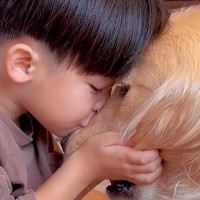 男の子が幼稚園から帰宅した直後、大型犬に向かって…あまりにも尊い『充電タイム』が91万再生「か、か、可愛い」「絵画にして残すレベル」