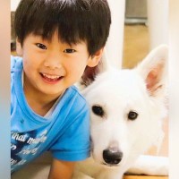 『男の子と大型犬の４年間』を記録…愛に溢れた『本当の兄弟のような光景』が泣けると反響「ジーンときた」「お互いの成長が刺激になる」の声