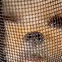 『犬がクレートの中で眠っている』と思ったら…完全に笑わせにきている『衝撃の表情』が31万再生「吹いたｗ」「面白すぎるｗｗ」と爆笑続々