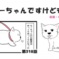 ちーちゃんですけどもっ【第318話】「マイペースなお散歩だからこそ」