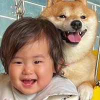 犬とブランコで遊んでいたら、1歳の女の子が『乗りたい』と言い出して…あまりにも尊い『一緒に楽しむ光景』が60万再生「幸せが溢れてる」