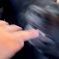 『賢く従順で、落ち着きがあり温厚』と言われる大型犬と暮らしたら…想像と180度違う『まさかの光景』に5万いいね「だがそれが良い」「最高」