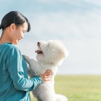 犬が『久しぶりに会った人』にみせる5つの行動　顔を覚えているの？興奮しているときの注意点まで