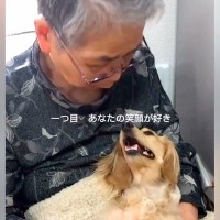 おばあちゃんと犬のふれあいを記録→想像以上に愛にあふれていて…思わず涙する『あまりにも尊い光景』に反響「すごく素敵な関係」「癒された」