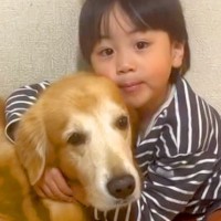 男の子が『穏やかでおおらかな性格になった理由』→2匹の大型犬と育った軌跡が15万再生「素敵」「大切なことを教えてくれる存在」と絶賛続々