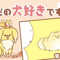 ただの犬好きです。【第323話】「今なんて？」