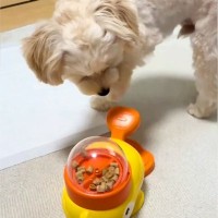 『レバーを押すとご飯が出るおもちゃ』で遊ぶ犬→食べるのかと思ったら…もはや人間のような『まさかの楽しみ方』が87万再生「犬生2周目？」