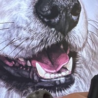 『本物を見て触って匂って吸って描く事の大切さ』犬のイラストを描く光景が凄すぎると1万いいね集まる「具現化系の能力者」「素晴らしい」と絶賛