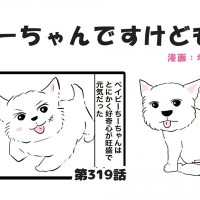 ちーちゃんですけどもっ【第319話】「違う種族」