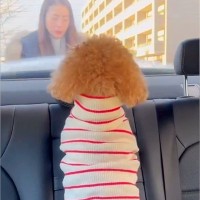 車で駅までお迎えにきてくれた犬→『熱烈歓迎をしてくれた』と思ったら…帰り際の『違いすぎる態度』に反響「いじけてるｗ」「差がすごい」の声