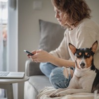 『犬を飼うのに向いていない人』の共通点5選　ワンコを不幸にする人の特徴とは？