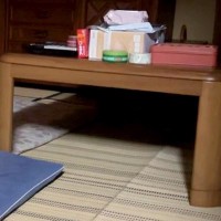 お母さんが1週間不在に→おじいちゃんおばあちゃんと過ごしていた犬が…消灯時間が早すぎて見せた『虚無すぎる光景』に9万4000いいね集まる