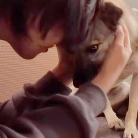処分寸前だった『悲しい目をした元保護犬』を飼った結果…40日後→涙が止まらない『初めて抱っこされた瞬間』が563万再生「感動した」と反響