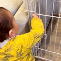 赤ちゃんがお母さんの真似をして『犬のご飯を準備した』結果…想像以上の『尊すぎるやり取り』が20万再生「可愛すぎてニヤけた」「お利口さん」