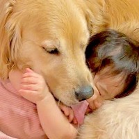 1歳の女の子が『定期的に甘えてきたら』大型犬が…本当の母親のような『尊すぎる光景』が101万再生「母性がやばい」「子供だと思ってる」